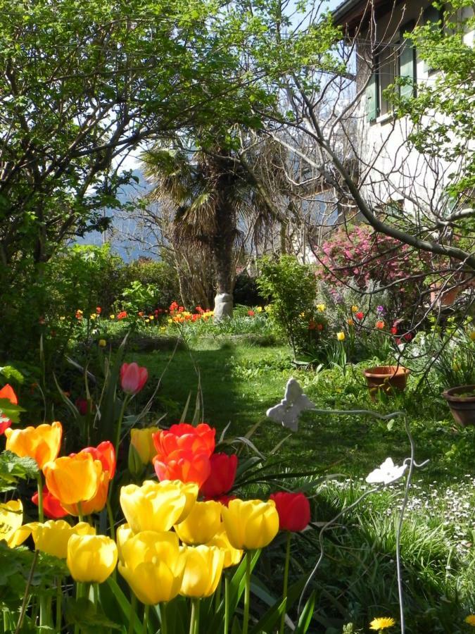 Element-Terre Hotel Aigle Exterior foto
