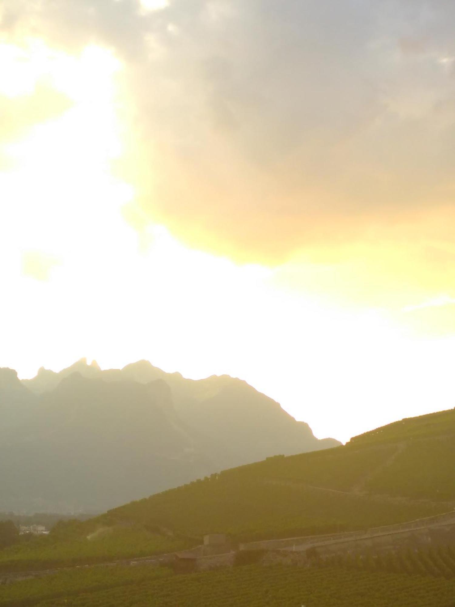 Element-Terre Hotel Aigle Exterior foto